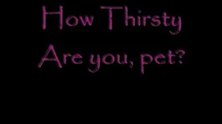 How Thirsty Are you pet?