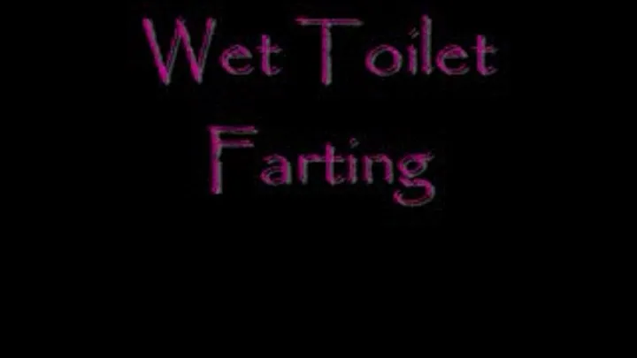 Wet Toilet Farting