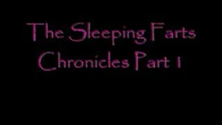 The Napping Fart Chronicles Pt 1