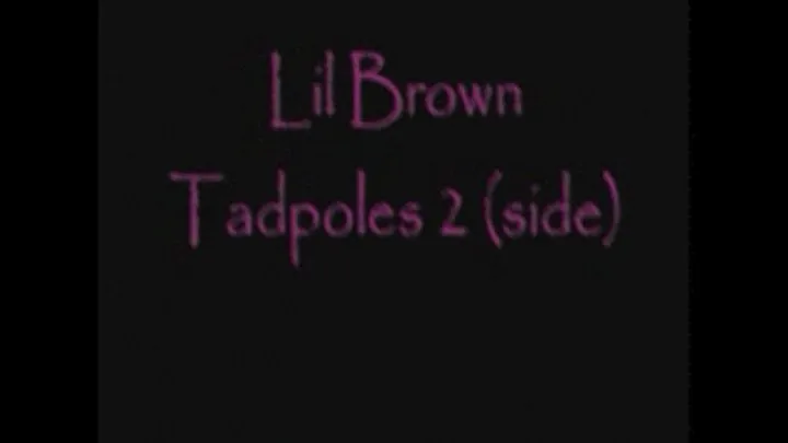 Lil Brown Tadpoles 2 (side)