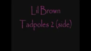 Lil Brown Tadpoles 2 (side)