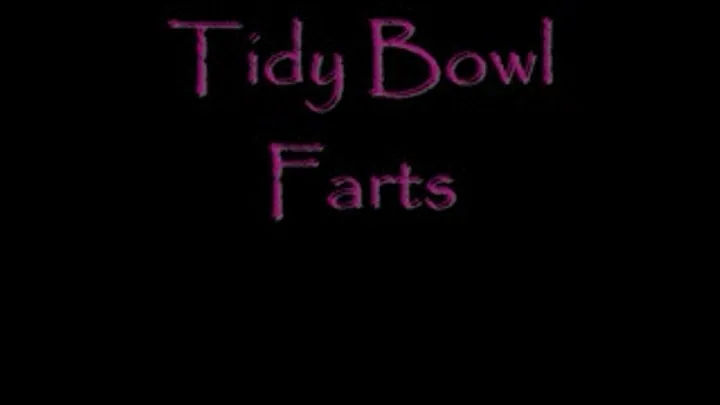 Tidy Bowl Farts DIALUP