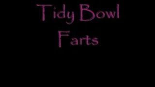 Tidy Bowl Farts DIALUP