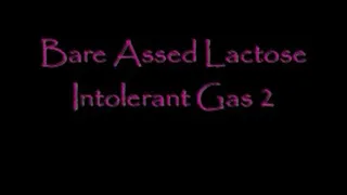 BareAssed Lactose Intolerant Farts 2 DIALUP