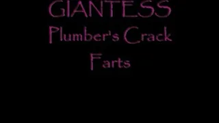 Plumber's Crack Farts