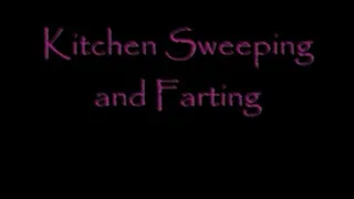 Kitchen Sweeping and Farting DialUp