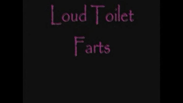 Loud Toilet Farts