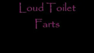 Loud Toilet Farts DialUp