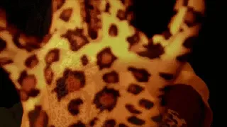 The cheetah lips