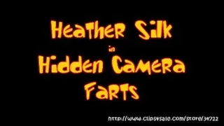 Heather Silk in Hidden Toilet Farts