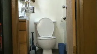 Fart Crimes 2 : Toilet Sitting &