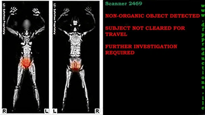 Airport Security: A Sort of Smuggling