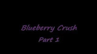 Blueberry Crush - Part 2