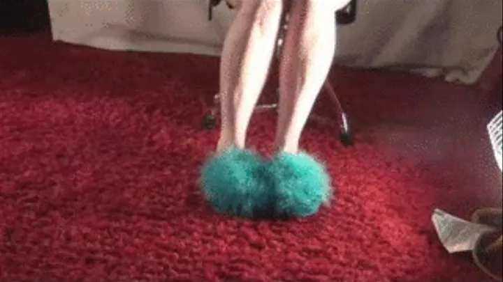 Slipper freak sniffing 1