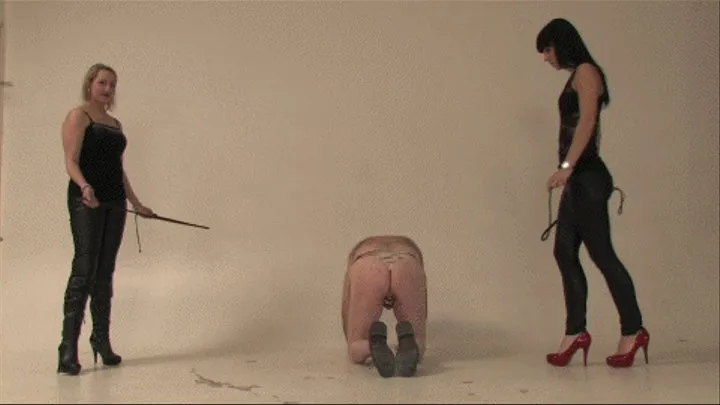 whipping and ballbusting( )