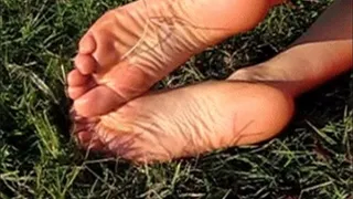 concy tickling massagge barefoot with a blade of grass - concy solletico e massaggio piedi nudi con un filo d'erba