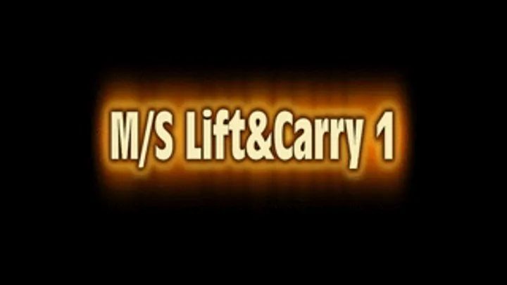 M/S Lift & Carry 1