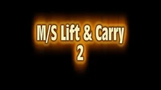 M/S Lift & Carry 2