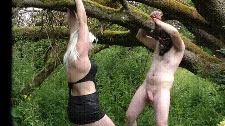 TIED TO A TREE AND BALLBUSTED!