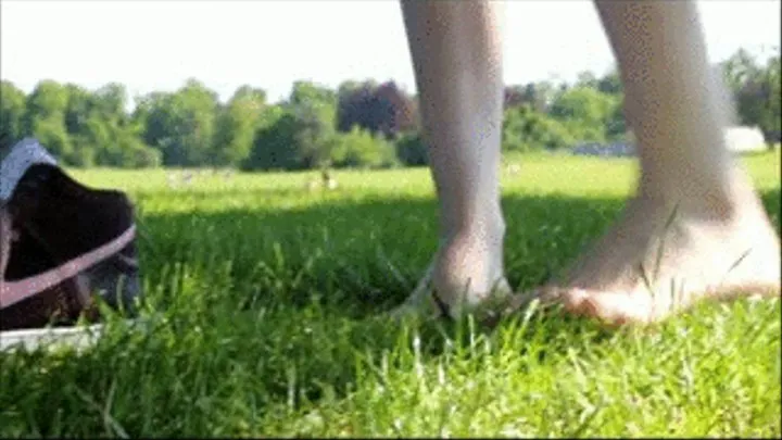 Barefoot in the grass