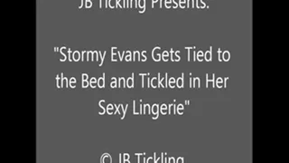 Stormy Evans Tickled in Lingerie