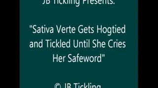 Sativa Verte Hogtied and Tickled - SQ