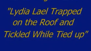 Lydia Lael Tickled on the Roof - SQ