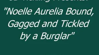 Noelle Aurelia Tickled by a Burglar - SQ