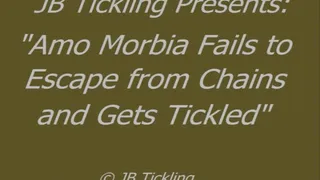 Amo Morbia Tickled for Failing to Escape - HQ