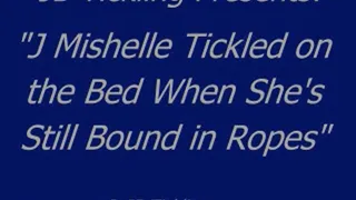 J Mishelle Tickled on the Bed - SQ