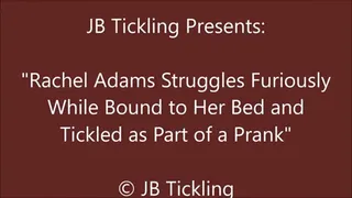 Rachel Adams Tickled as Part of a Prank