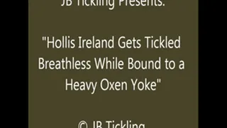 Hollis Ireland Tickled in the Yoke - HQ