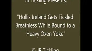 Hollis Ireland Tickled in the Yoke - SQ