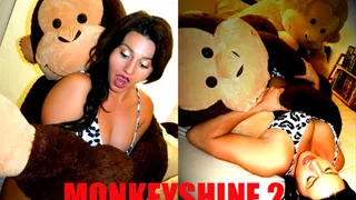 Monkeyshine 2: Cuddle Buddies (starring Rachel)