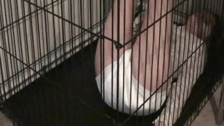 Messing in Cage