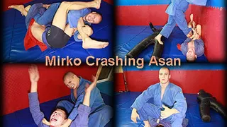 Mirko Crashing Asan