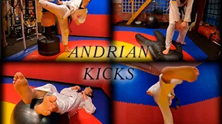 Andrian kicks