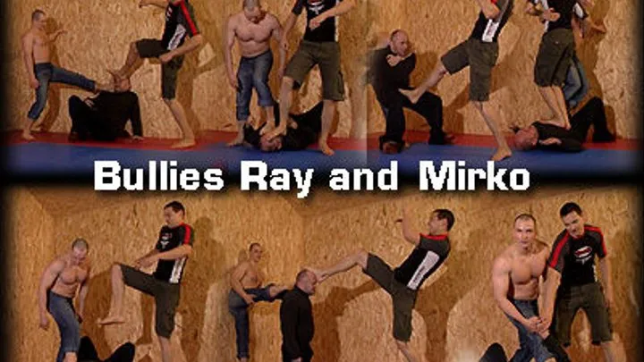 Bullies Ray and Mirko