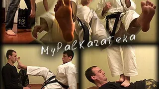 My Pal Karateka