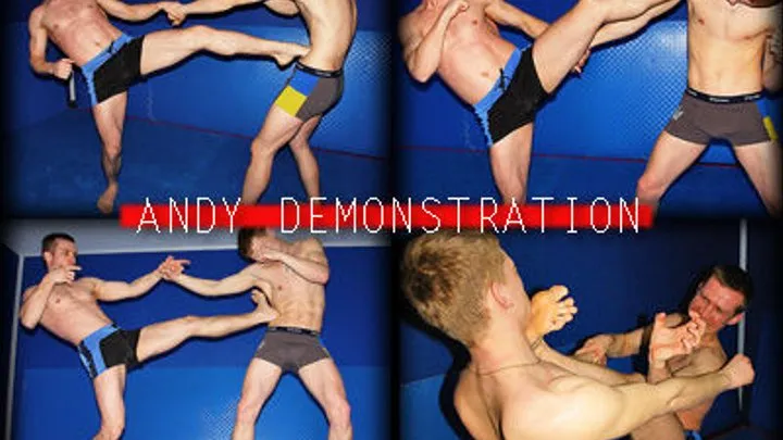 Andy Demonstration