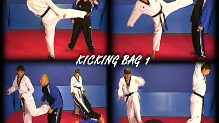 KickingBag 1