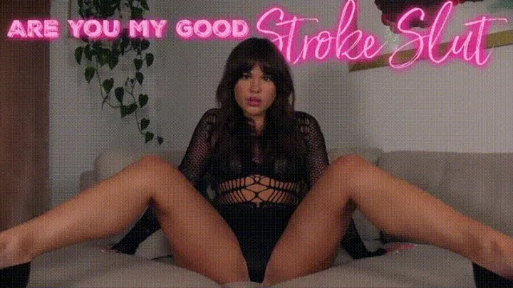 Are You My Good Stroke Slut