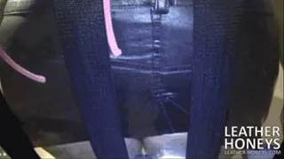 Squashing Leather Butt on Transparent Glass