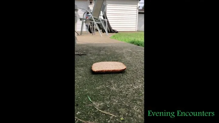 Crushing Bread Outside