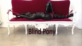 Blind Pony