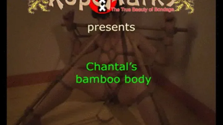 Bamboo Body