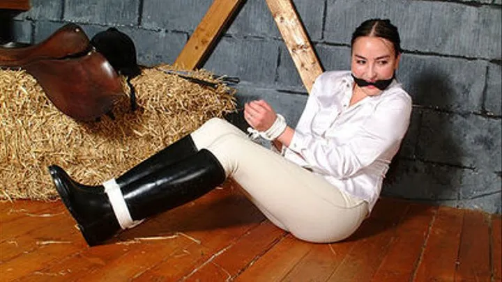 Tiger tied in Riding boots & Jodhpurs