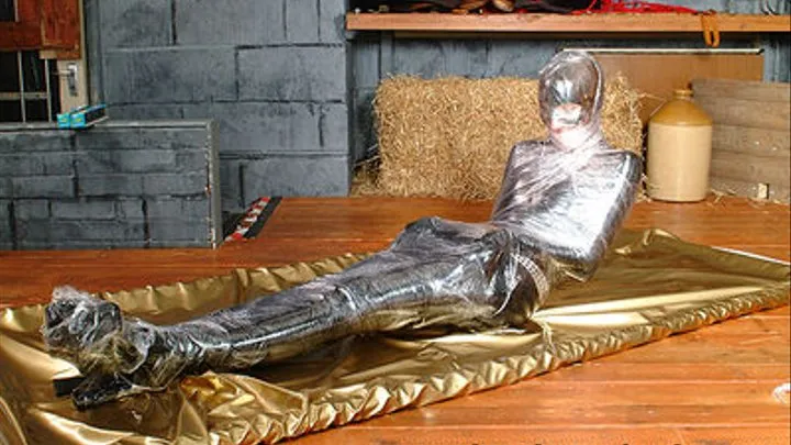 Angel, Mummified in Saranwrap