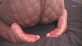 Fishnets: Ass, Soles & Toes