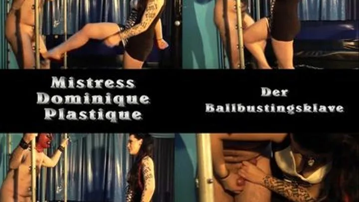 Mistress Dominique Der Ballbustingsklave